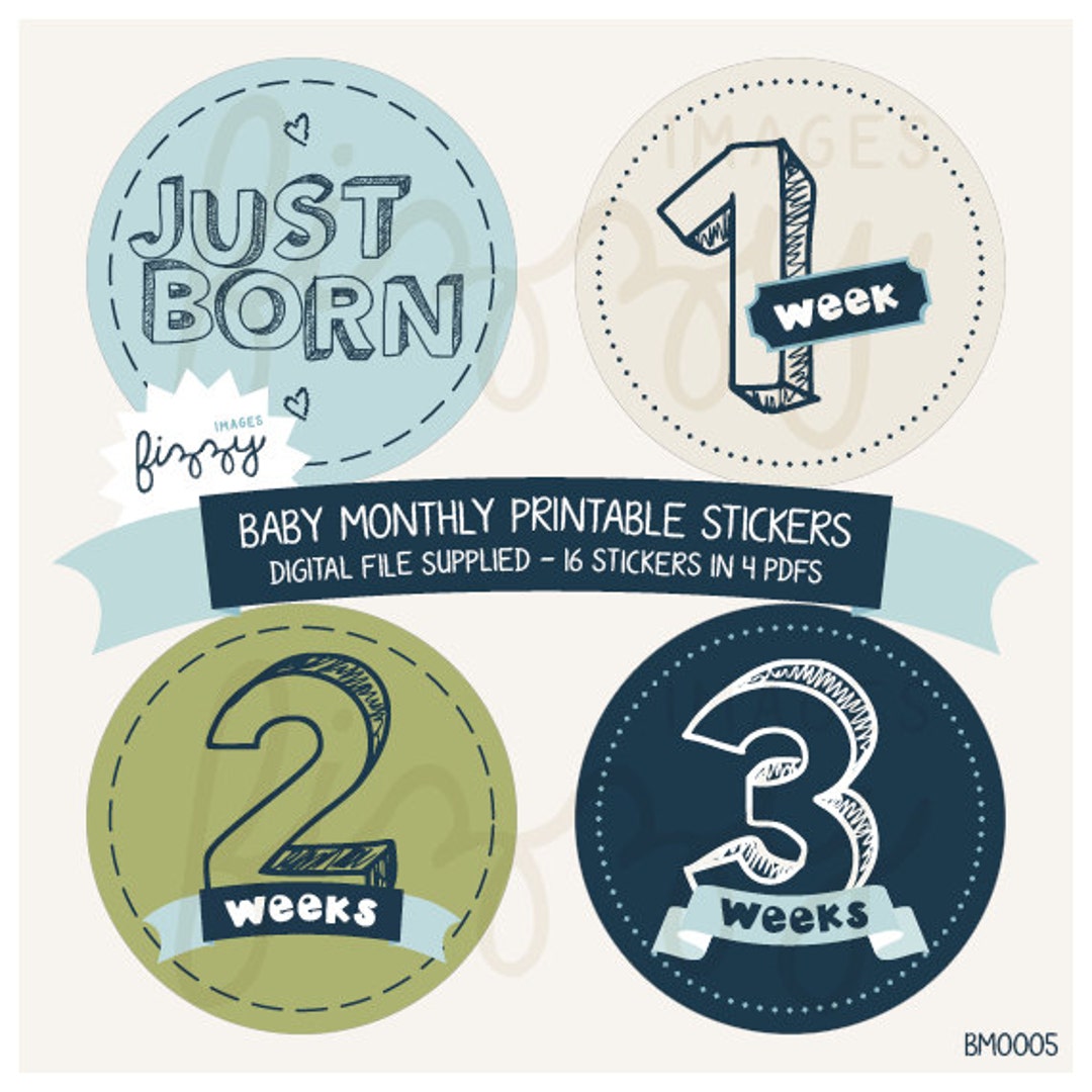 16x Baby Monthly Milestone Onesie Stickers Boy Printable Instant ...