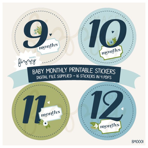 16x Baby Monthly Milestone Stickers Boy Printable Instant Download ...