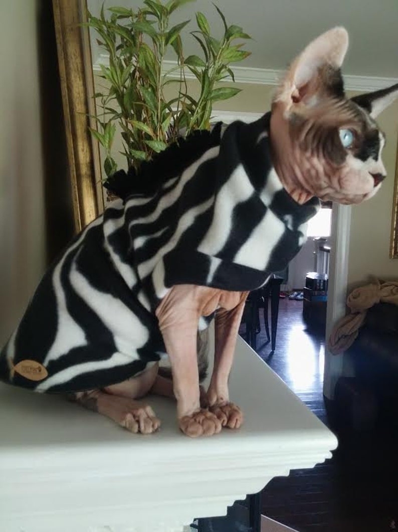 Zebra Costume for Sphynx Devon Rex Peterbalds and all cats.