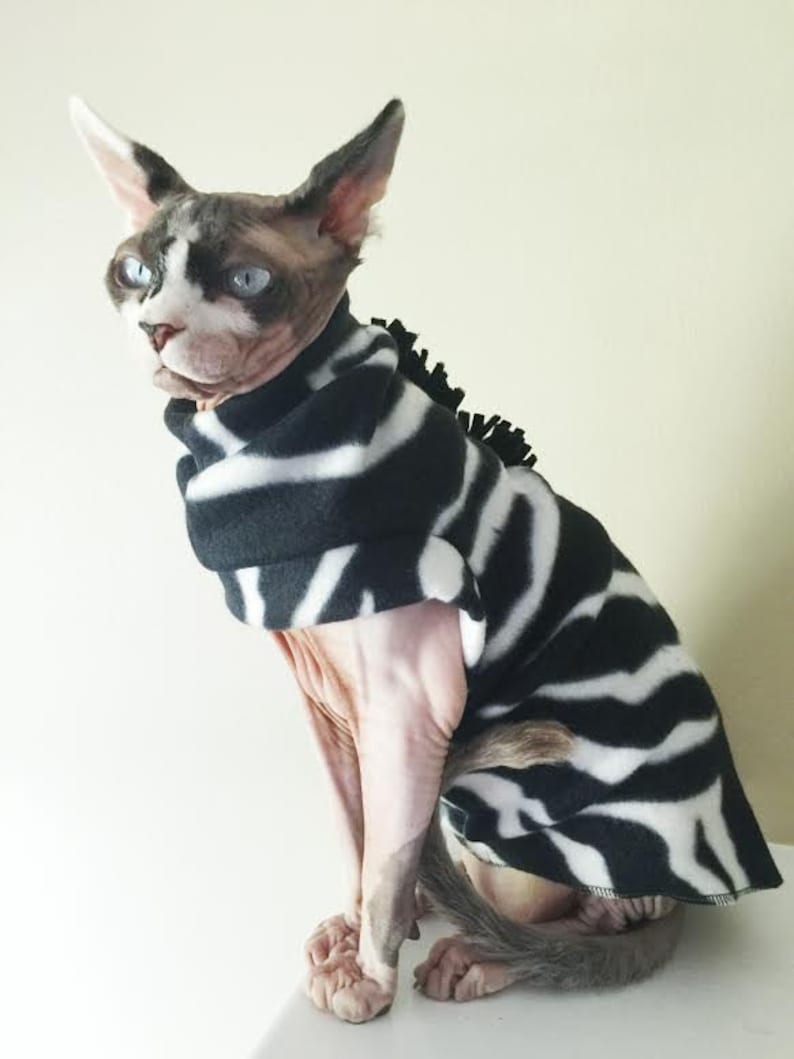 Zebra Costume for Sphynx Devon Rex Peterbalds and all cats.