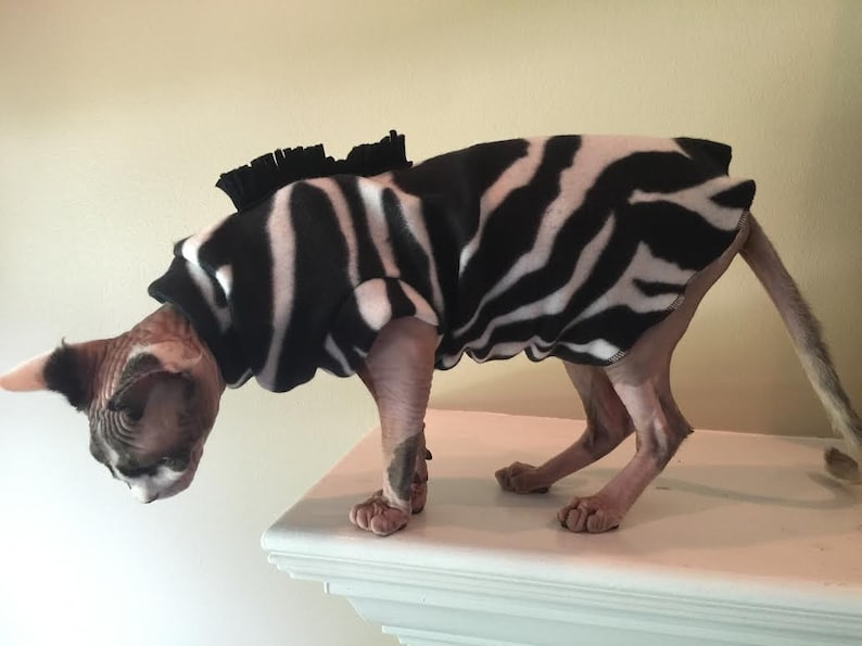 Zebra Costume for Sphynx Devon Rex Peterbalds and all cats.