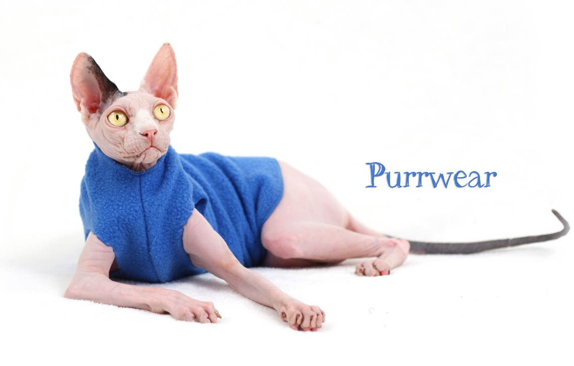 Sphynx Clothing Affordable and Comfy Fleece Sweater for Etsy