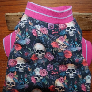 40% off SALE MEDIUM Sphynx Cat Clothing *Cotton Jersey shirt for Sphynx, all short haired cats.
