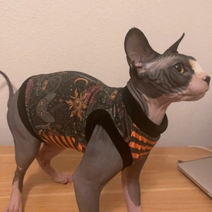 PurrWear Jersey Shirt for Sphynx, and all cats. Cat clothing