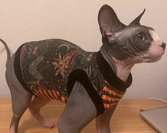 May include: A black and white hairless cat wearing a black and orange striped shirt with a dark green, black, and orange print of a sun, moon, and other celestial symbols.