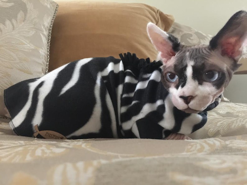 Zebra Costume for Sphynx Devon Rex Peterbalds and all cats.