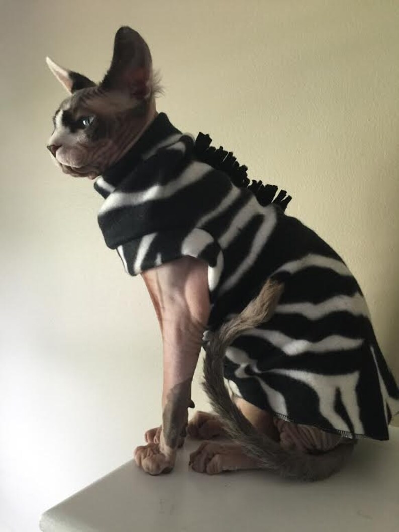 Zebra Costume for Sphynx Devon Rex Peterbalds and all cats.