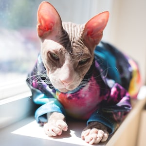 Kombinezon przeciwsłoneczny PurrWear UPF50 z rękawami dla sfinksów i innych kotów potrzebujących ochrony przed szkodliwym promieniowaniem słonecznym.