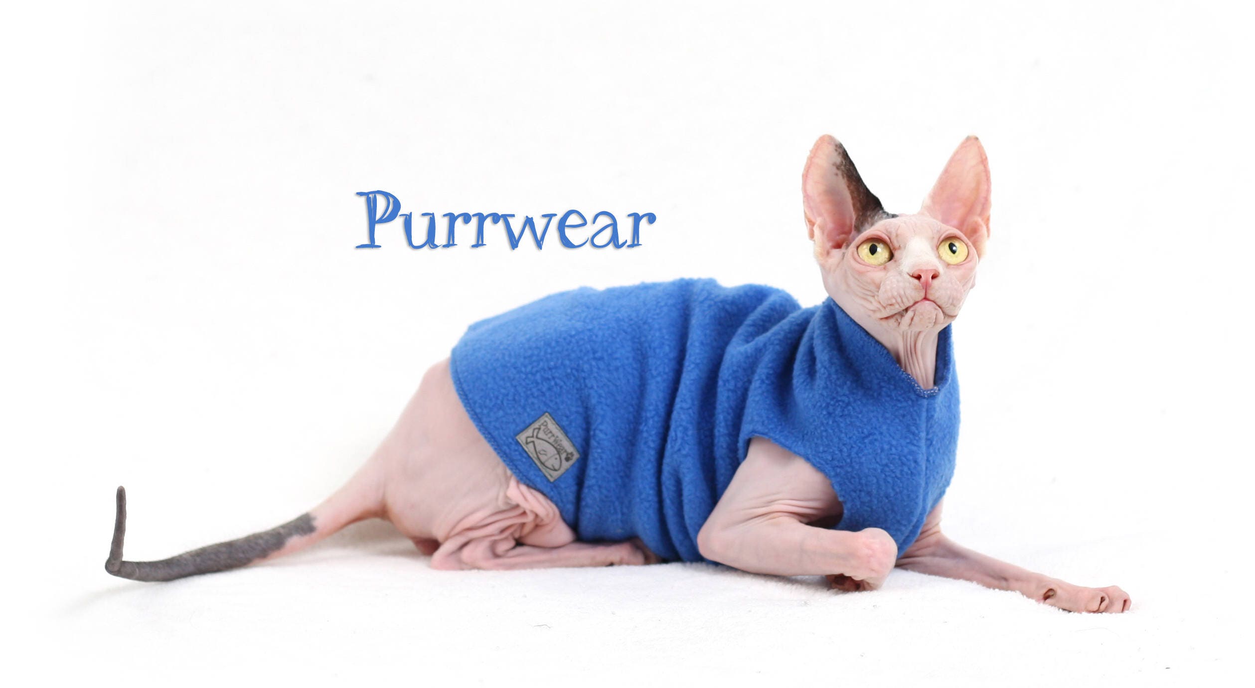 Sweater for Kitten  Louis Vuitton Vest for Sphynx, Lamb Fleece