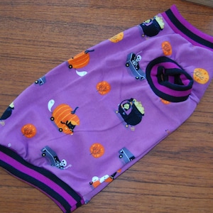 PurrWear Jersey Shirt for Sphynx, and all cats. Cat clothing
