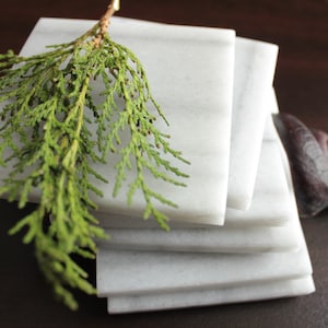 Coasters Set of Six From Natural Stone Marble Zebra