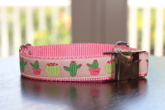 cactus dog collar