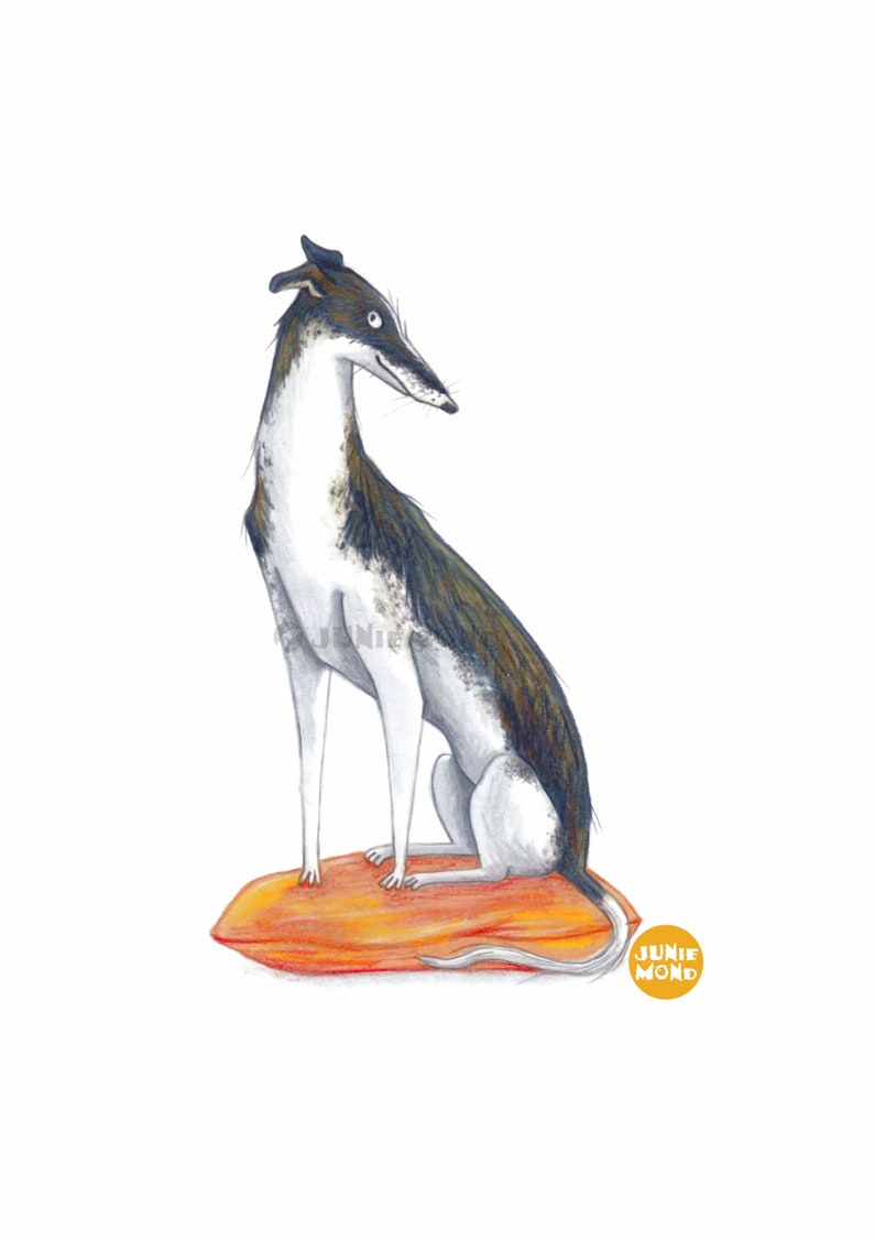 Windhund Gerahmte Original-Illustration Unikat Galgo Greyhound Whippet Hund Bild 6