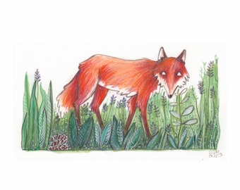 Fuchs - Natur - Canide - Original-Illustration - Unikat