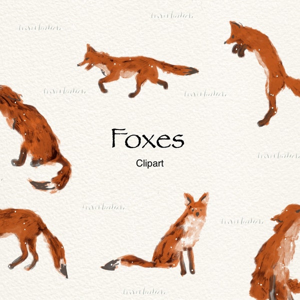 Fox Impressionistic | Cute natural wildlife red fox jumping playing Clipart Graphics