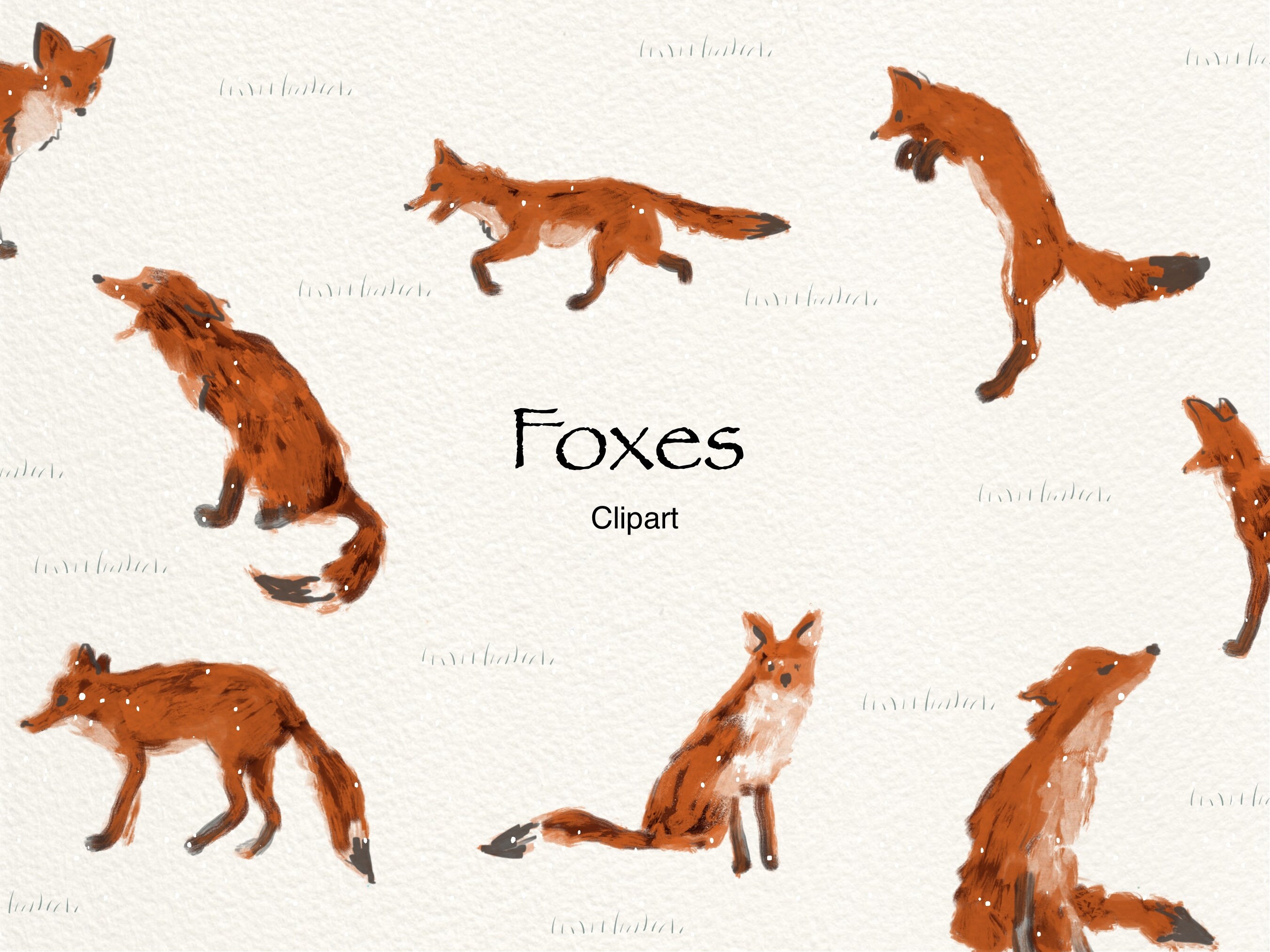 Red Fox Pouncing