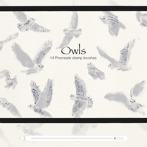Snowy Owl Stamp Procreate Brush Hand Drawn Owl Design Tool Xmas Wildlife Art Winter Illustration Digital Art Project Owl Decor Pattern Art