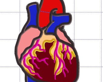 Applique anatomy Heart design- 4in hoop and 5x7 hoop included