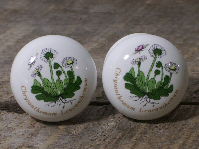 Vintage Portmeirion Botanic Garden Drawer Pulls Two Daisy