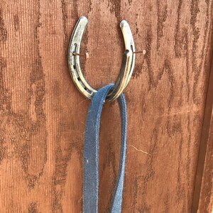 May include: A silver horseshoe mounted on a wooden surface with a blue strap hanging from it.