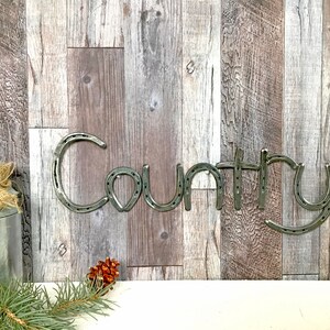 May include: The word "Country" spelled out using horseshoes. The horseshoes are silver in color and are mounted on a wood background.
