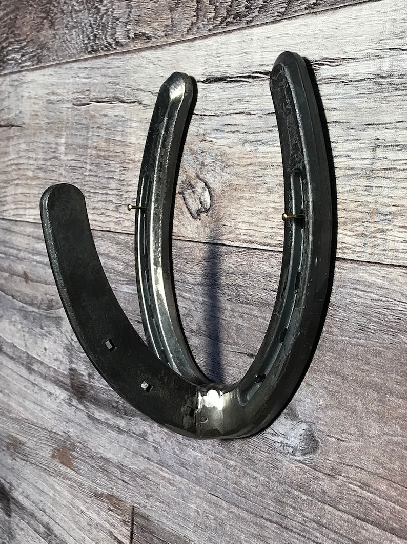 May include: Two black metal horseshoes welded together to form a U-shape. The horseshoes are mounted on a wooden wall.