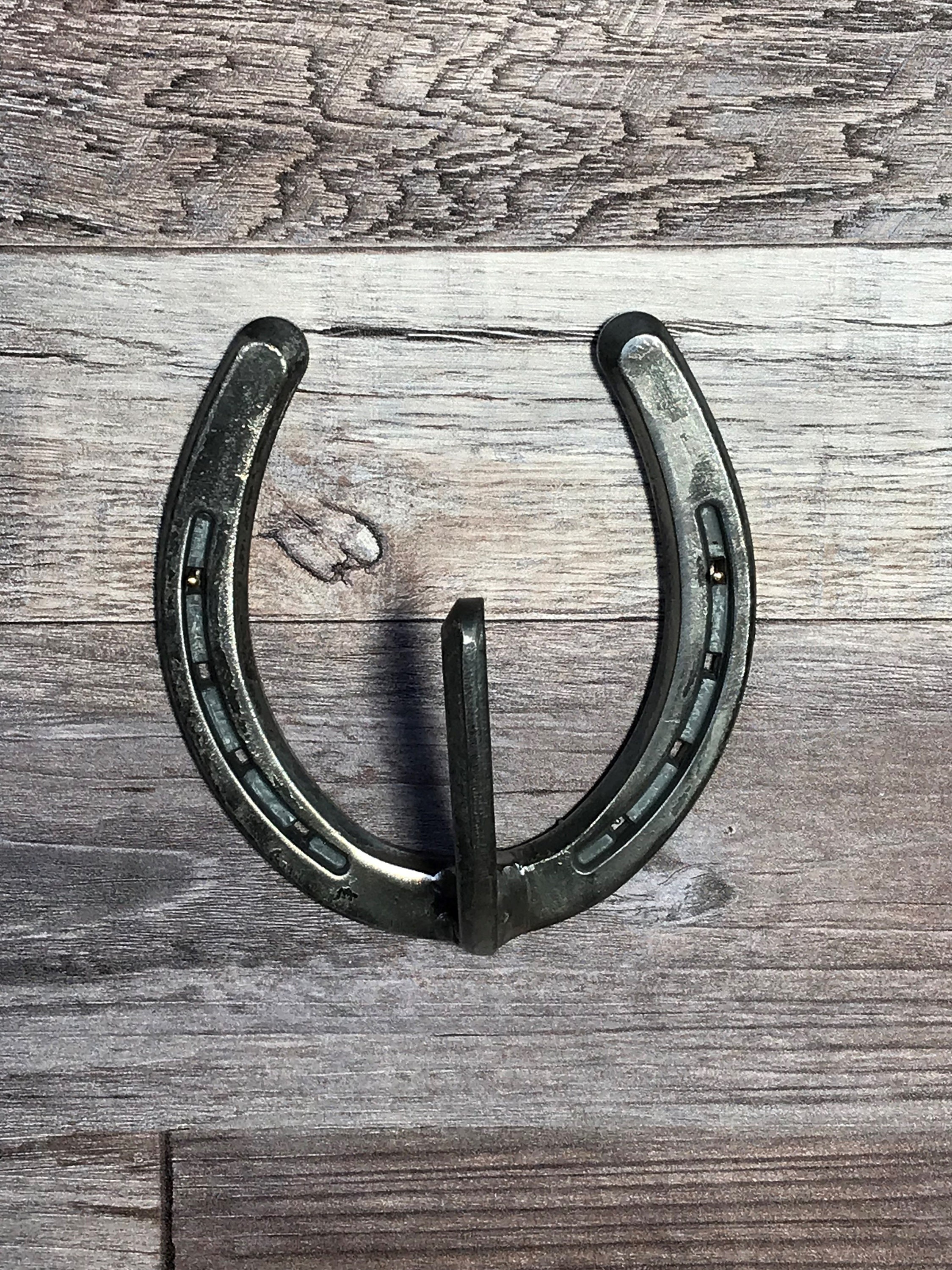 Horse Shoe Wall Décor with Hanging Rope Union Rustic