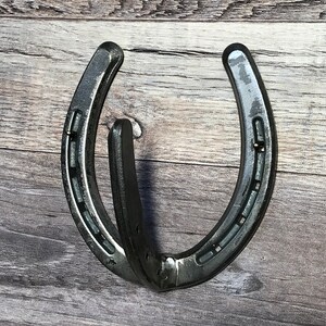 May include: A silver horseshoe with a hook attached to the bottom, mounted on a wooden wall.