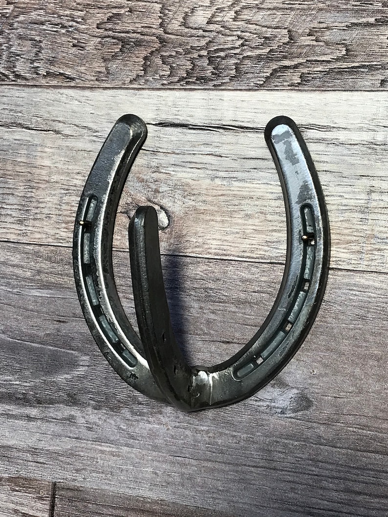 May include: A silver horseshoe with a hook attached to the bottom, mounted on a wooden wall.