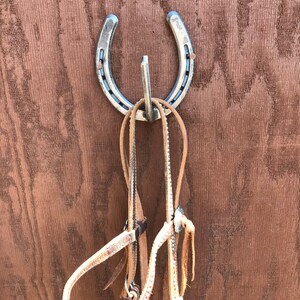 May include: A silver horseshoe hook mounted on a wooden wall with three leather reins hanging from it.