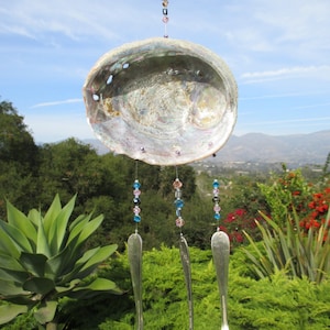 Pacific abalone  shell wind chime