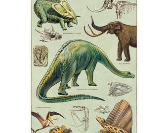 Dinosaur Poster Etsy