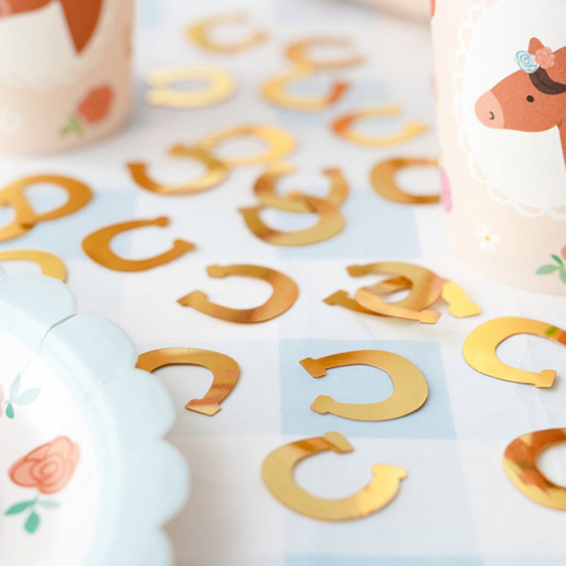 Pony Horse Birthday Partyware, Girls Birthday Party, Horse Plates Napkins Cups Balloons, Pony Party Horseshoe Scatter