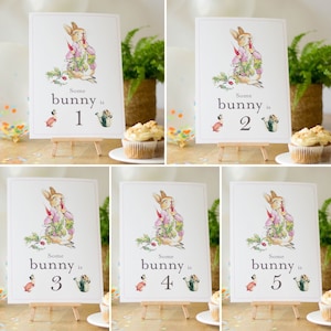 Flopsie Kaninchen Geburtstagstischschild, 1. 2. 3. 4. 5. Geburtstagsdekoration, etwas Häschen ist Karte und Staffelei, Peter Rabbit Party für Kinder