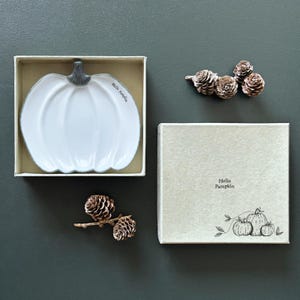 以下が含まれることがあります： 白いセラミック製のカボチャ型皿で、灰色の茎が付いています。箱に入っています。皿には「Hello Pumpkin」の文字があります。箱にも「Hello Pumpkin」の文字とカボチャのイラストがあります。装飾用の松ぼっくりも付いています。