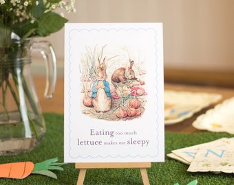 Peter Rabbit, A5-bord en schildersezel, bord 1e verjaardag, 'Te veel sla eten', konijnenfeest, paasfeest, tafeldecoratie doopdoop