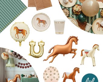 Horse Pony Theme Party Supplies and Decorations, Western Cowboy Rodeo Farm Birthday Party Decor, Barn Ranch Country Party Supplies