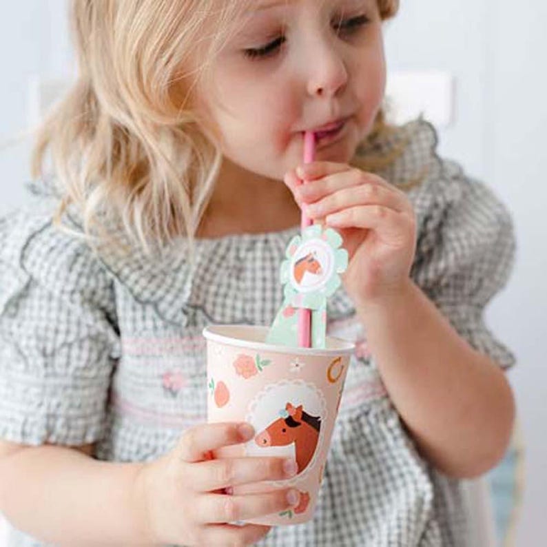Pony Horse Birthday Partyware, Girls Birthday Party, Horse Plates Napkins Cups Balloons, Pony Party Straws Horses x6