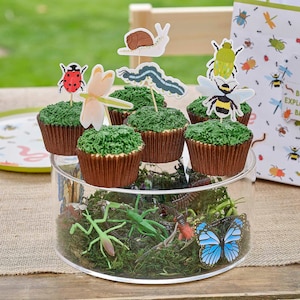 Childrens Birthday Bug Insect Partyware, Bug Paper Cups Plates Napkins & Decorations, Kids Party Decorations, Insect Birthday Party Balloons Cupcake Toppers