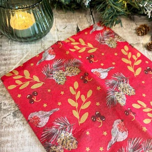 Carta velina per regali di Natale Red Robin Berry, carta da regalo festiva, carta velina per regali di Natale, carta da regalo tradizionale natalizia, 5 fogli