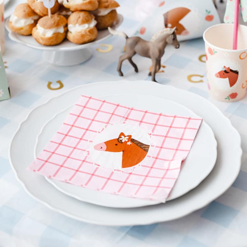 Pony Horse Birthday Partyware, Girls Birthday Party, Horse Plates Napkins Cups Balloons, Pony Party Paper Napkins x12