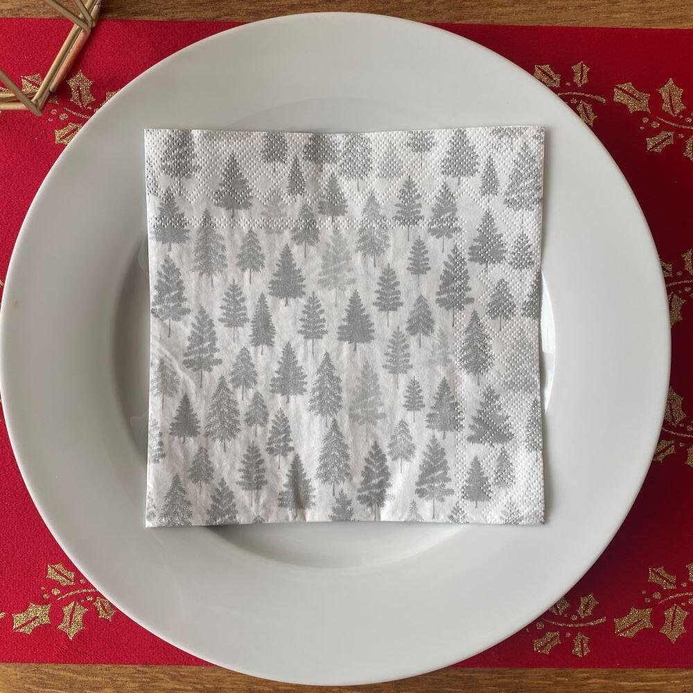 Thanksgiving Linen Napkins - White and Natural 20 x 20 inch, Set of 4 Luxe Hemstitch Dinner Napkins Cloth Washable from 100% French Linen for