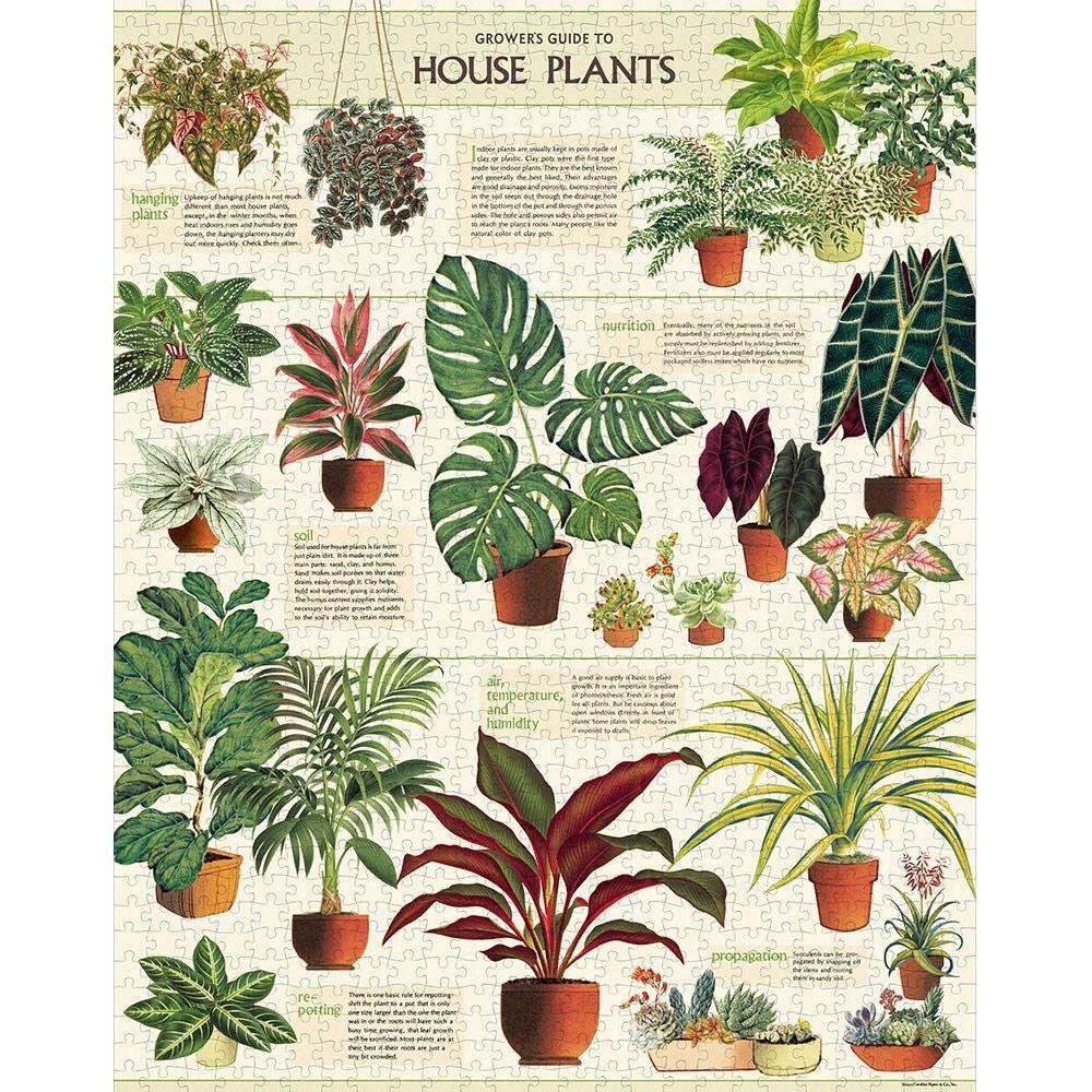 1000 Piece Cavallini Jigsaw Puzzle House Plants Puzzle Etsy