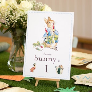 Peter Rabbit Geburtstag Tischschild, Peter Rabbit Geburtstagsschild, Irgendein Hase ist 1 Karte und Staffelei, Dekorationsschild zum 1