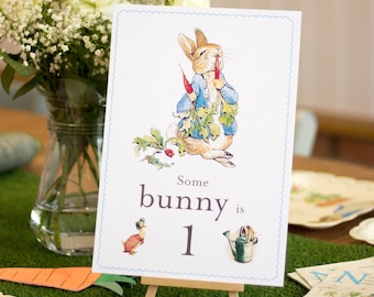 Peter Rabbit 1st Birthday Table Sign, Peter Rabbit Birthday Sign, Some Bunny Is 1 Card And Easel, 1st Birthday Decoration Sign, Easter Party