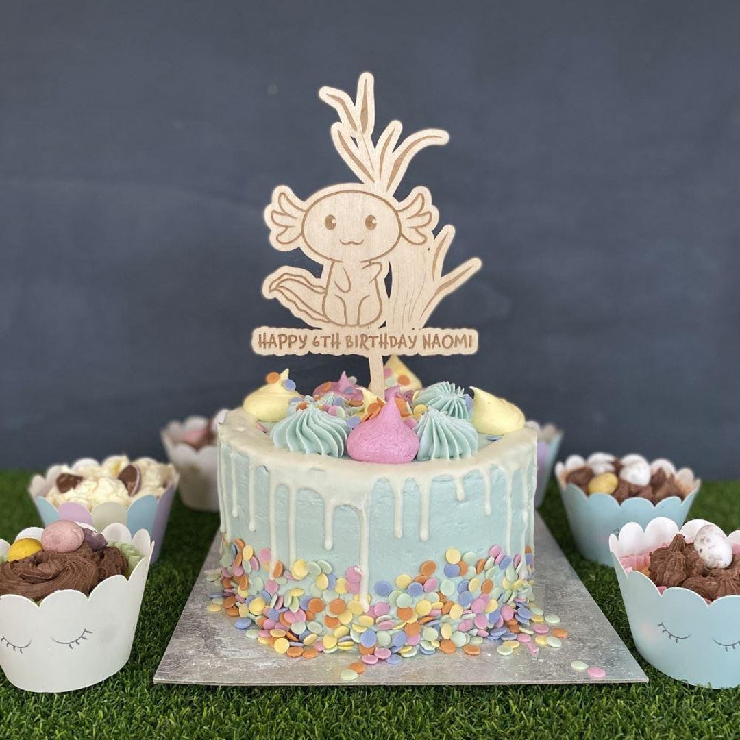 Axolotl Birthday Decorations Axolotl Party Supplies Include Axolotl Backdrop Ballon Cake Toppers
