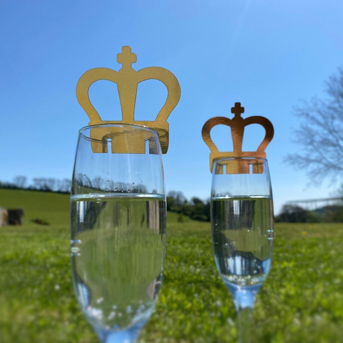 10 Crown Kings Coronation Glass Toppers Street Party Etsy UK