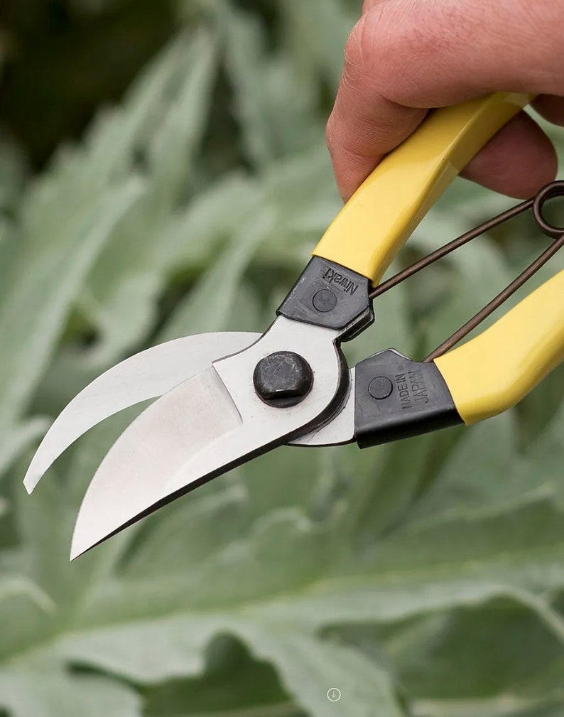Niwaki Mainichi Secateurs Japanese Pruners (Left Handed) - Thumbnail 2