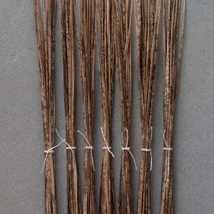 May include: A bundle of eight brown, dried, natural plant stalks tied together with white string. The stalks are arranged vertically and have a rough, textured surface.