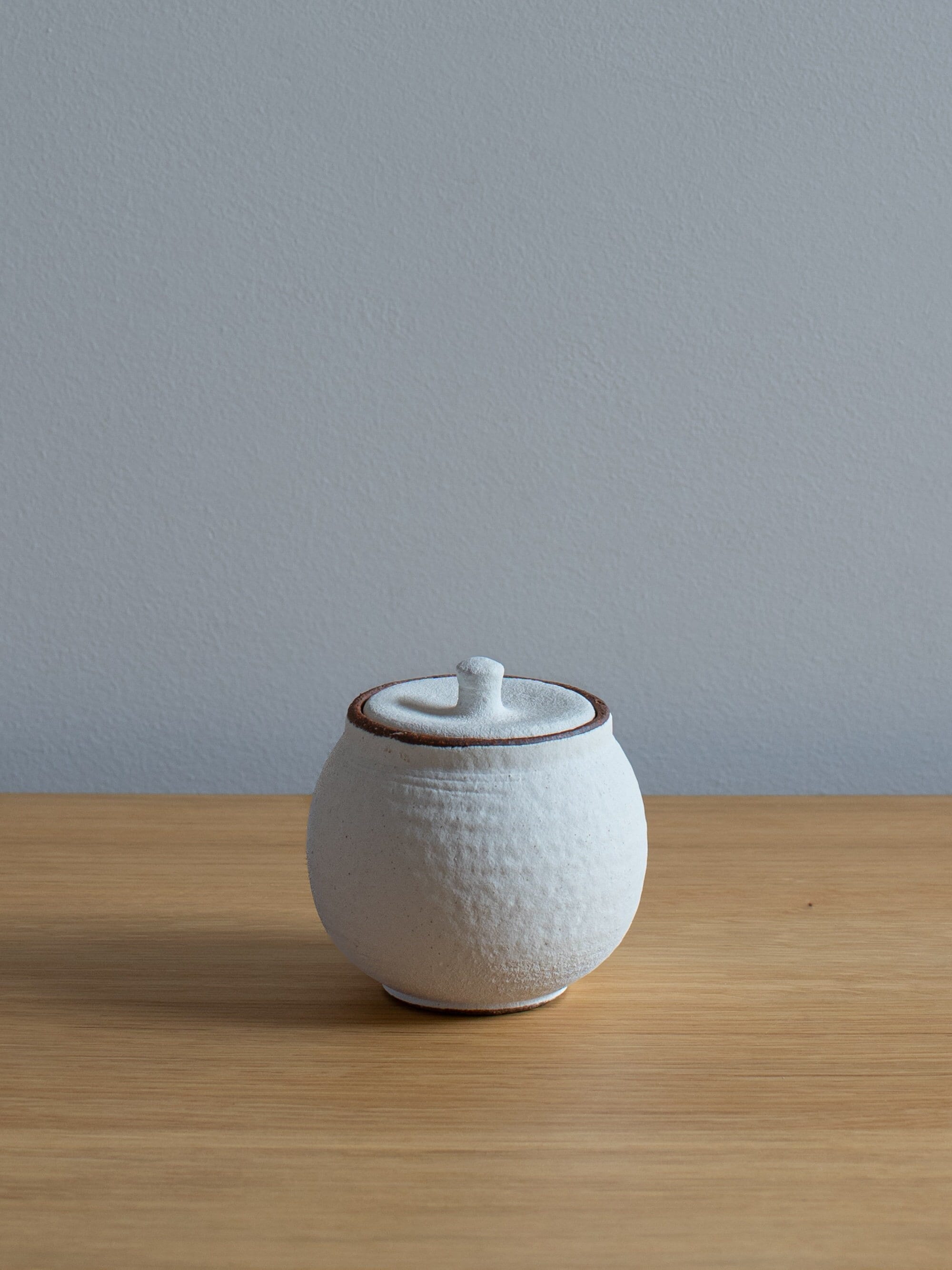 Japanese Shigaraki Ceramic Lidded Salt Pot - White